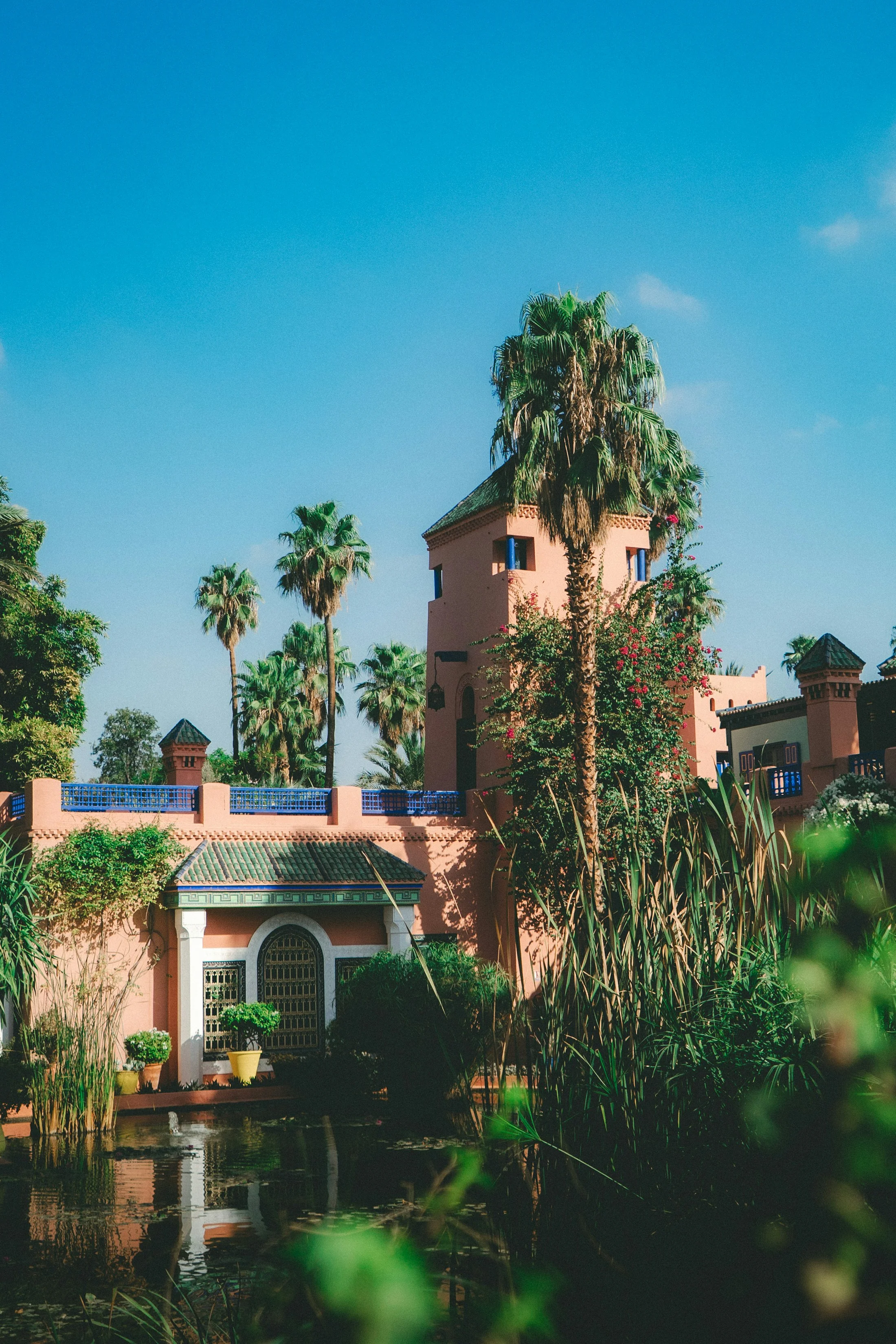 Grande piscine bordée de palmiers à Marrakech